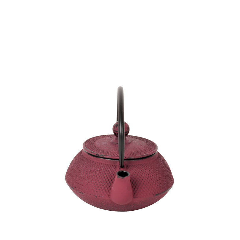Teiera ghisa con filtro inox "Emai" l 0,5/cm15,5x12,5x10