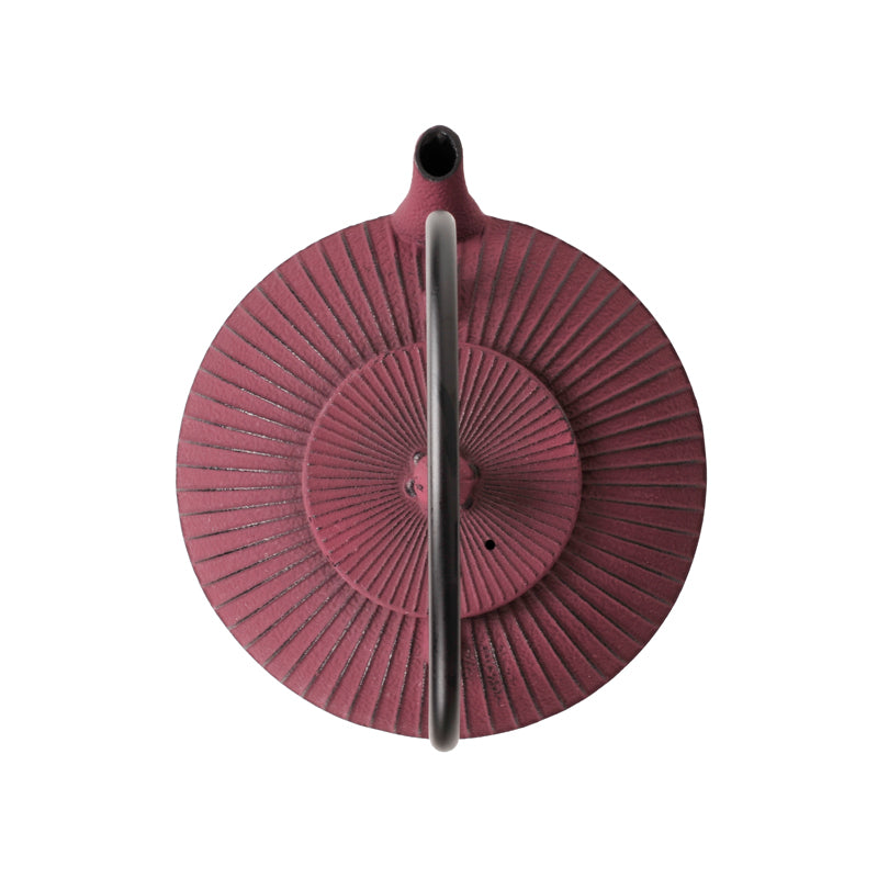 Teiera ghisa con filtro inox "Sencha" l 0,78/cm 20x17x9,5