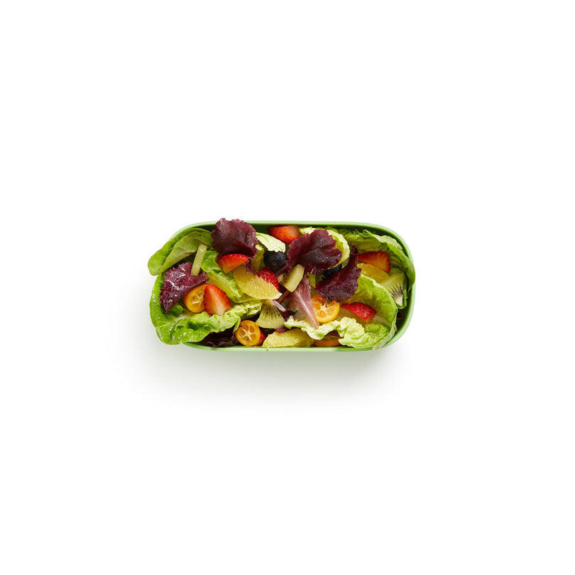 Lunchbox To-Go "Citrus Fruit" cm 19,2x10x11/l1