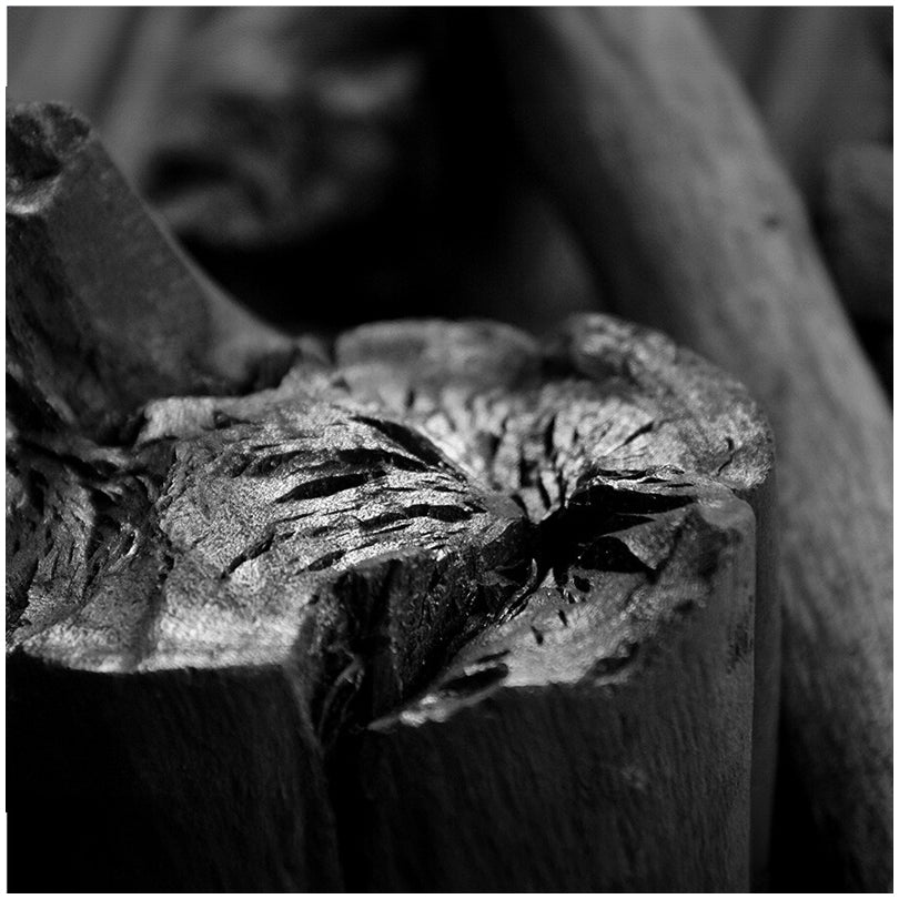 Carbone Binchotan "White Eucalyptus", confezione da 5 kg cm 37x22x21