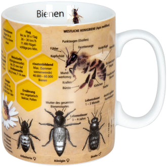 Tazza mug, disegno: Wissensbecher Bienen ml 460/cm Ø9x11