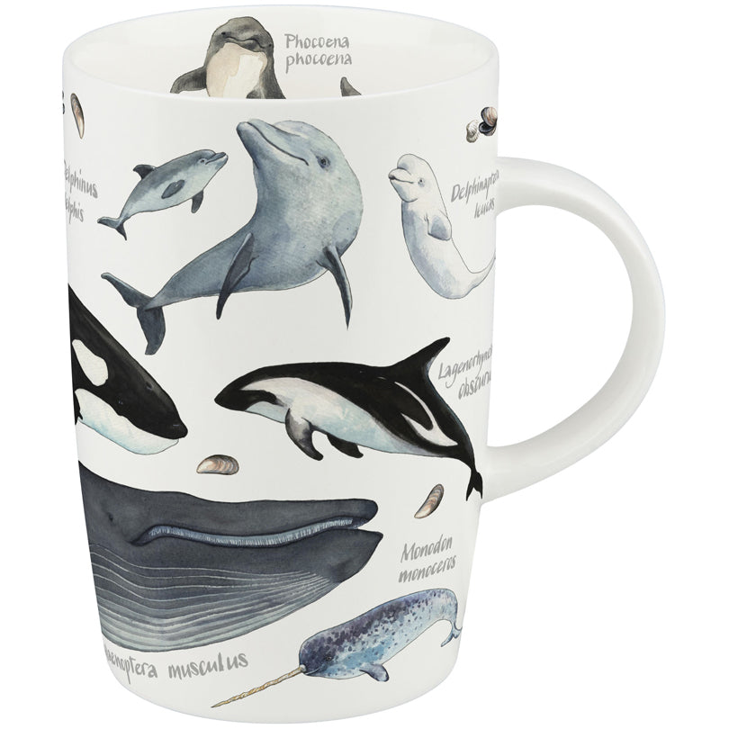 Tazza, disegno: Natures diversity - Animali del mare ml 600/cmØ8,9x13