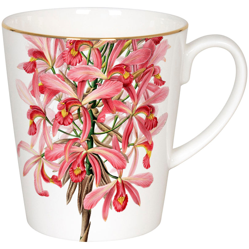 Tazza, disegno: Wunderbar - Laelia superbiens ml 600/cm Ø10x11,2