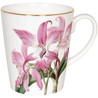 Tazza, disegno: Wunderbar - Laelia autumnalis ml 600/cm Ø10x11,2