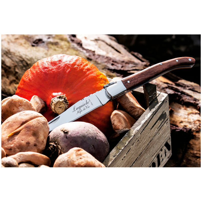 Coltello da tasca "Luxury Line - Pakka Rose" cm 8,5/10,5