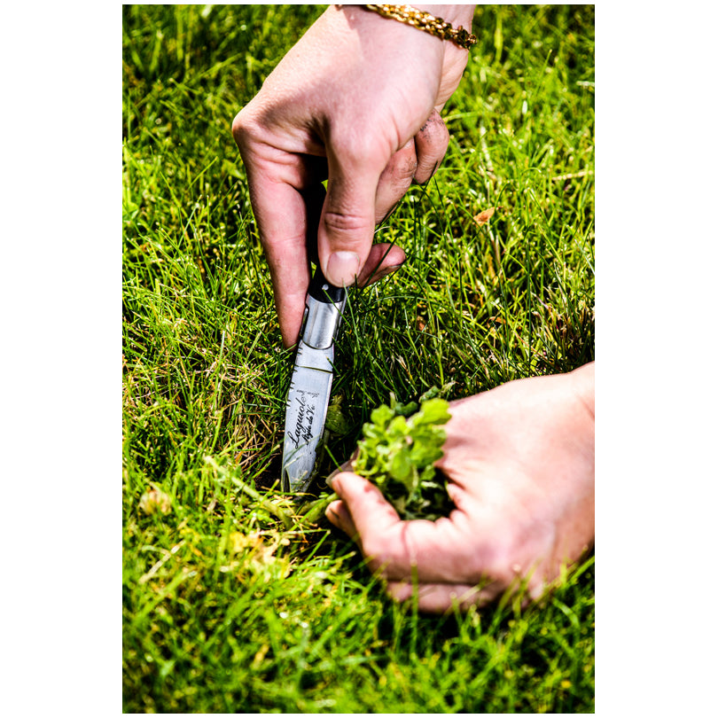 Coltello da tasca "Luxury Line - Pakka Black" cm 8,5/11