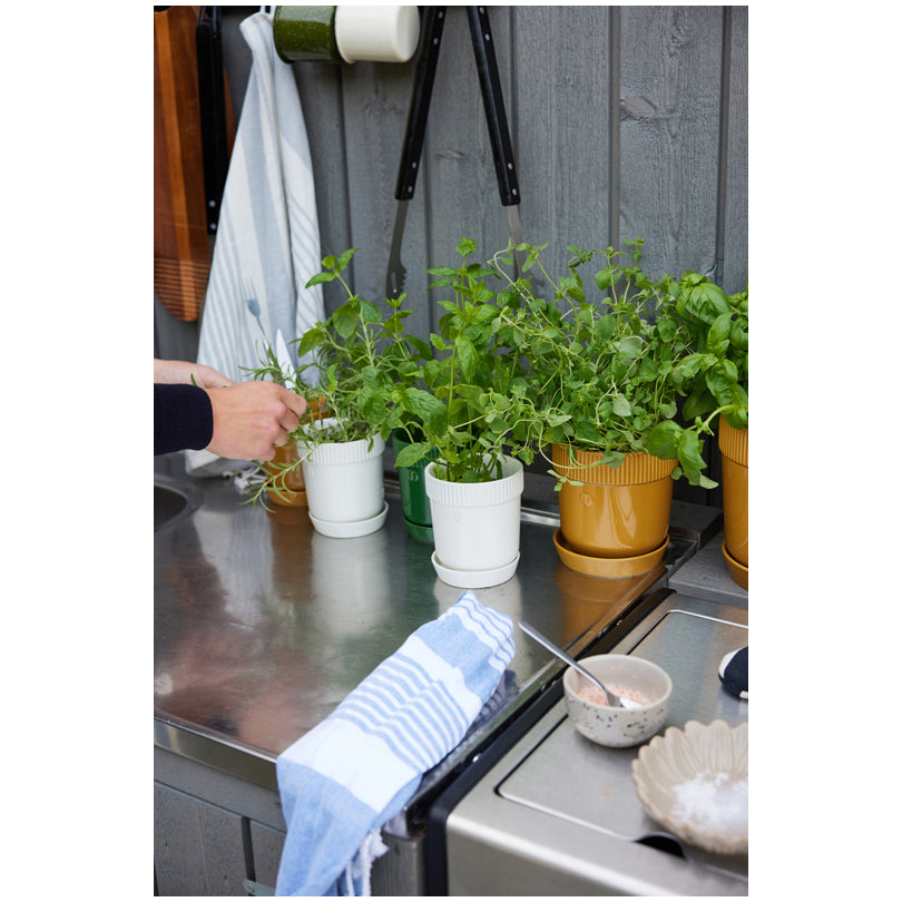 Vasetto porta erbe aromatiche con sottopiatto "Elise" cl 60/cm Ø11x13