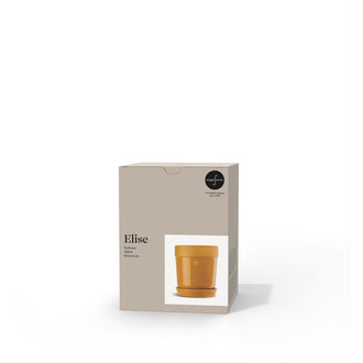 Vasetto porta erbe aromatiche con sottopiatto "Elise" cl 60/cm Ø11x13