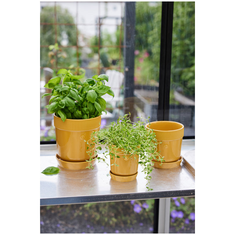 Vasetto porta erbe aromatiche con sottopiatto "Elise" cl 60/cm Ø11x13