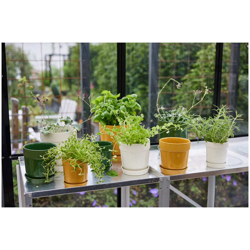 Vasetto porta erbe aromatiche con sottopiatto "Elise" cl 60/cm Ø11x13