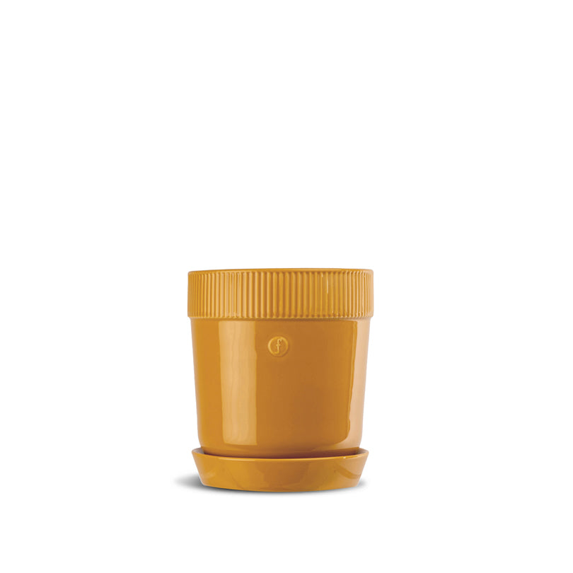 Vasetto porta erbe aromatiche con sottopiatto "Elise" cl 60/cm Ø11x13