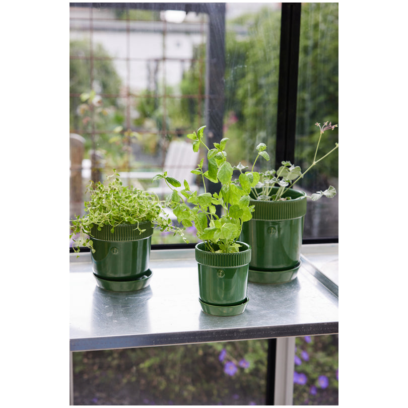 Vasetto porta erbe aromatiche con sottopiatto "Elise" cl 60/cm Ø11x13