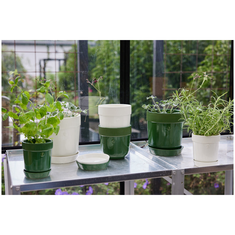 Vasetto porta erbe aromatiche con sottopiatto "Elise" cl 60/cm Ø11x13