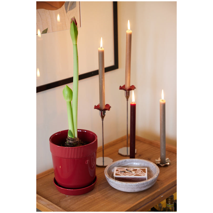 Coppa noci/snack "Sten" cm Ø20x5