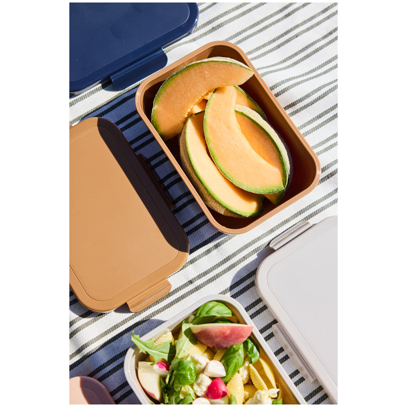 Lunchbox "Tina" cm 20,5x14,5x7,5/l 1