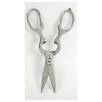 Forbice cucina smontabile lucida CM 21