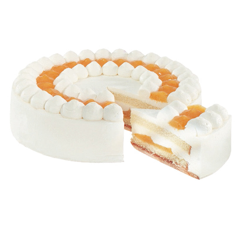 Porzionatore torte Simplex Duo cm 33x13,8x1
