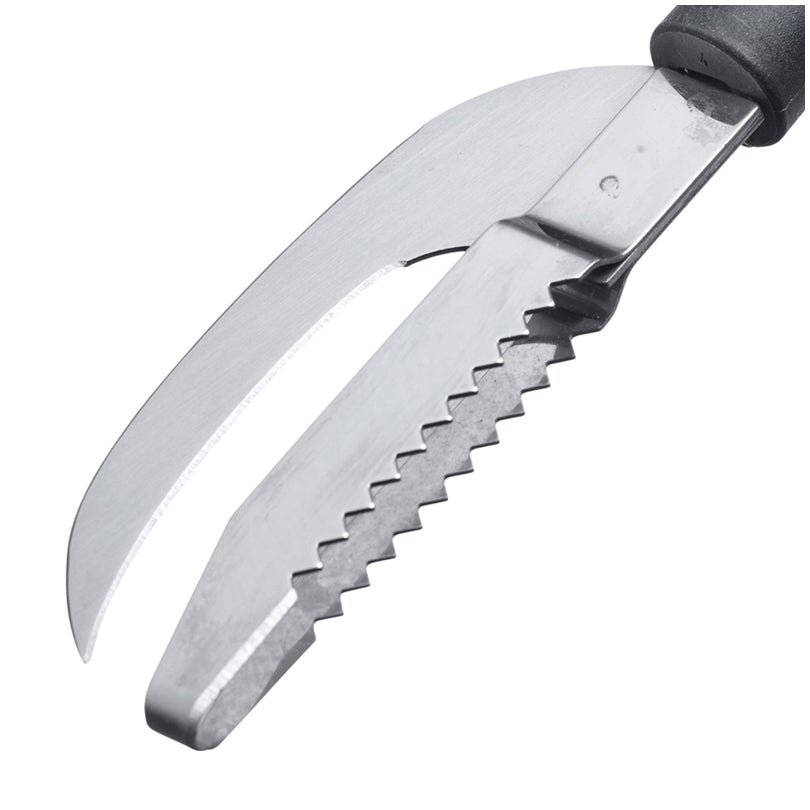 Coltello pesce/squamapesce 2 in 1 "Gallant" cm 4x22,4