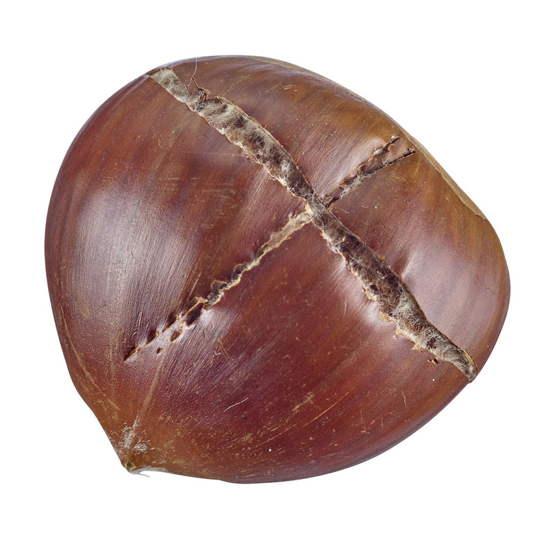 Tagliacastagne con lama dentata cm 5,2x20