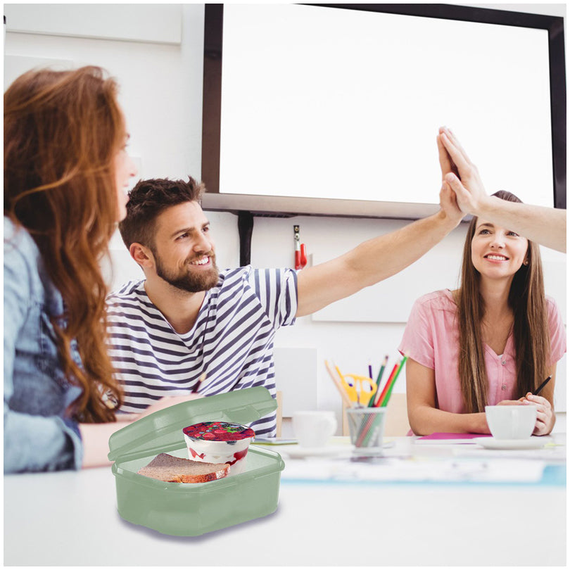 Snackbox/Porta panino "Maxi" ml 935/cm 17,4x13,7x