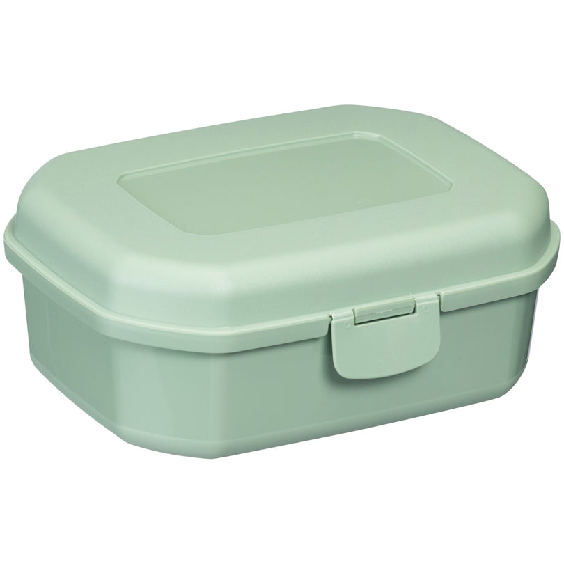 Snackbox/Porta panino "Maxi" ml 935/cm 17,4x13,7x