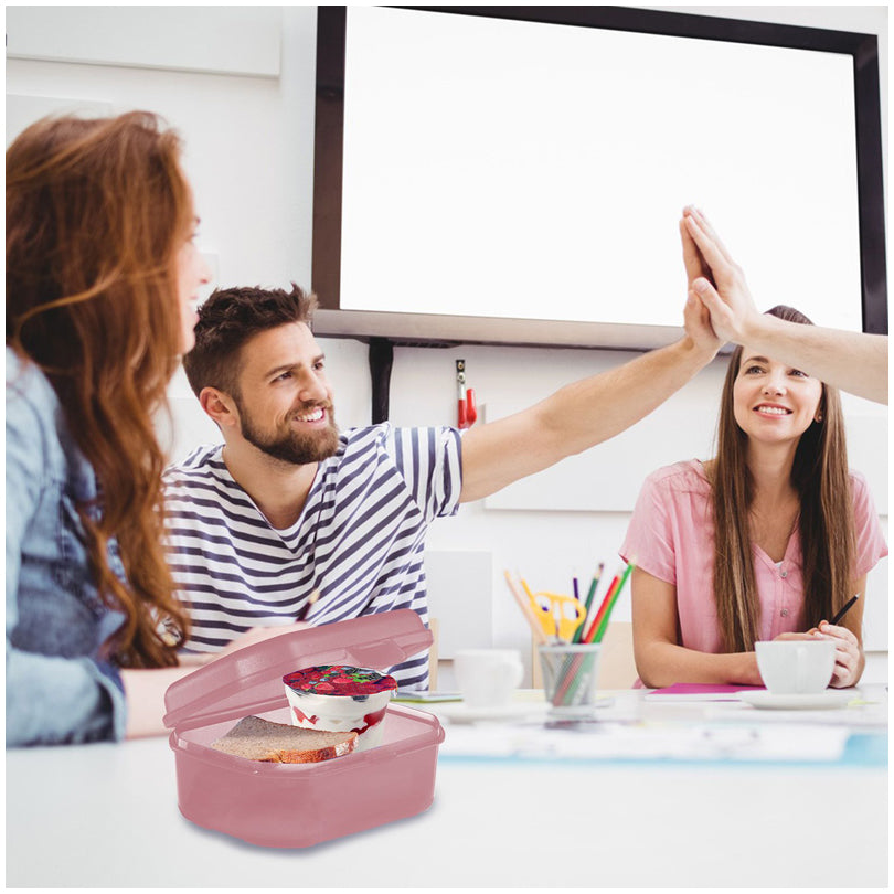 Snackbox/Porta panino "Maxi" ml 935/cm 17,4x13,7x