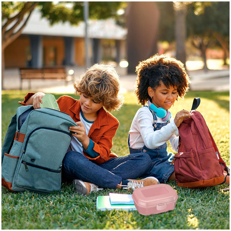 Snackbox/Porta panino "Maxi" ml 935/cm 17,4x13,7x