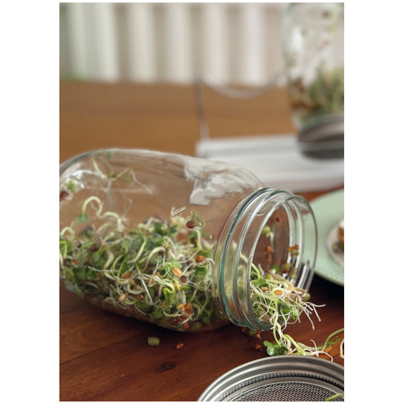 Kit Germogliatore con 2  serre in miniatura con supporto, vassoio raccolta e rivestimenti in tessuto ml 950/cm 20,9x16x19