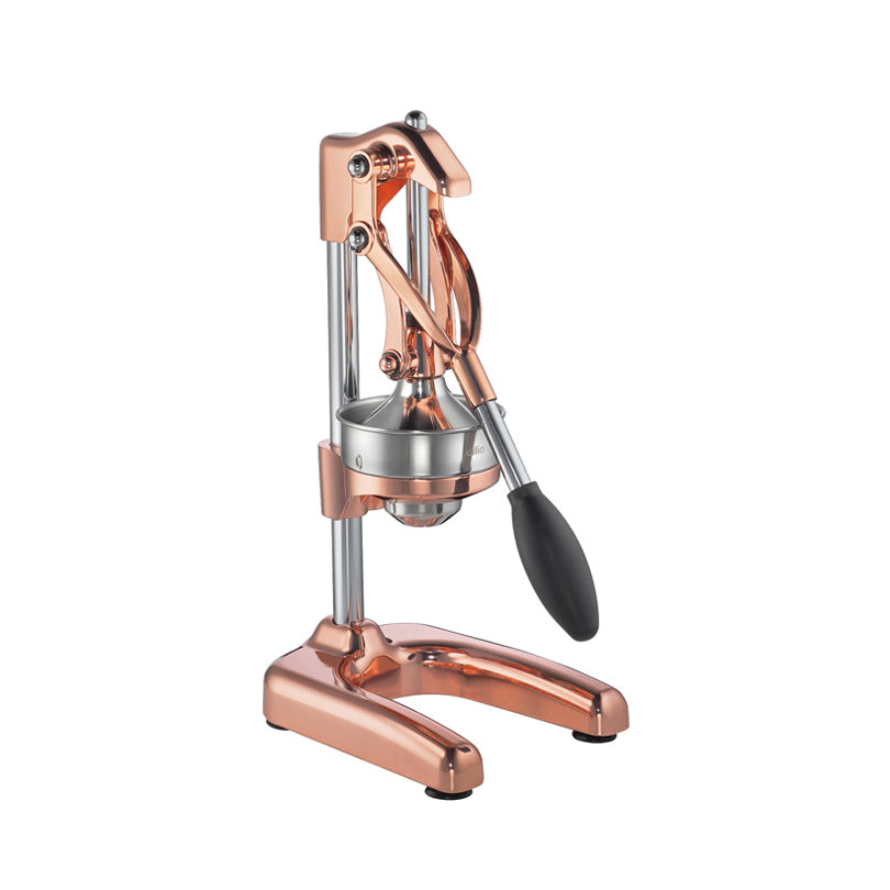 Spremiagrumi Profi cm 18x22x43/74