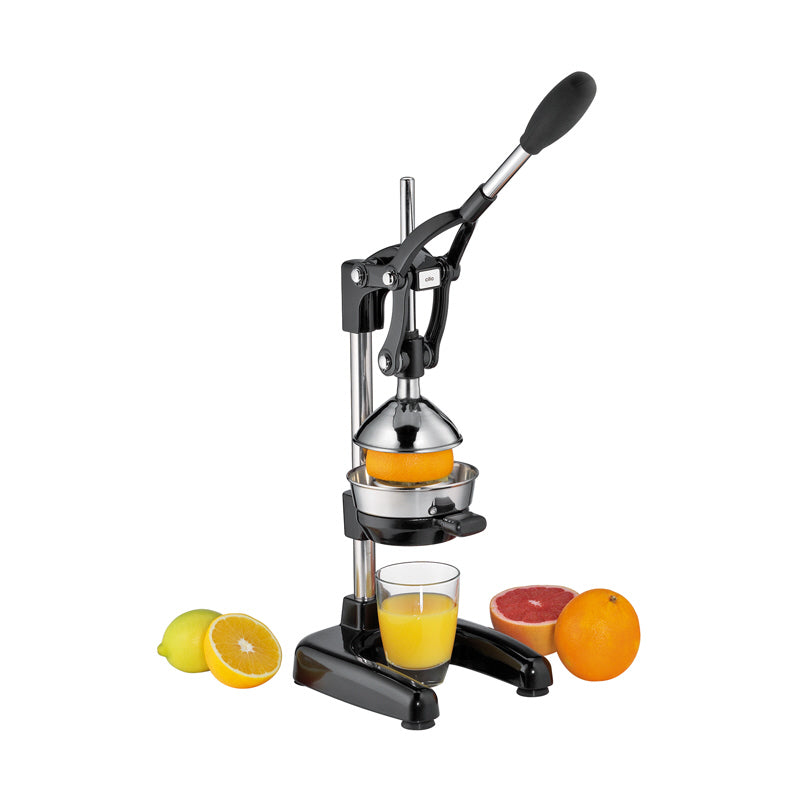 Spremiagrumi "Amalfi" cm 18x23x40/72