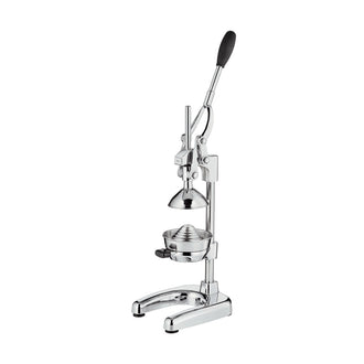 Spremiagrumi "Amalfi" cm 18x23x40/72