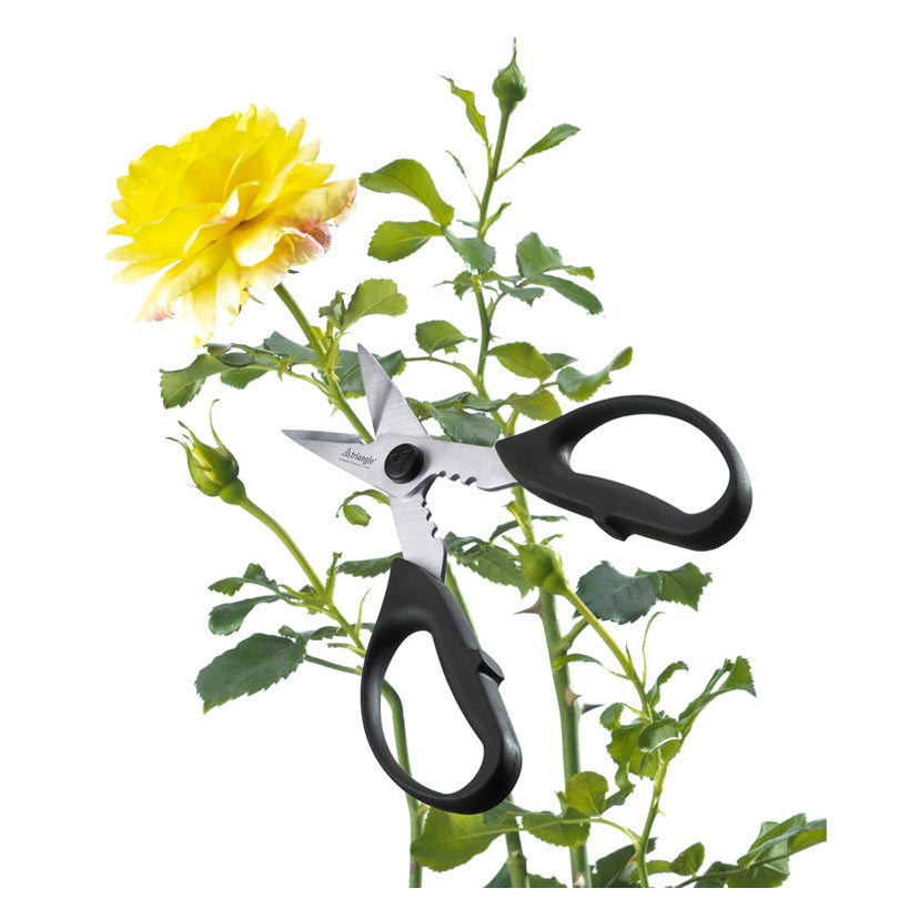 Forbice per erbe cm 9/19