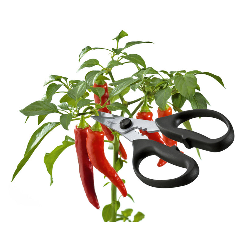 Forbice per erbe cm 9/19