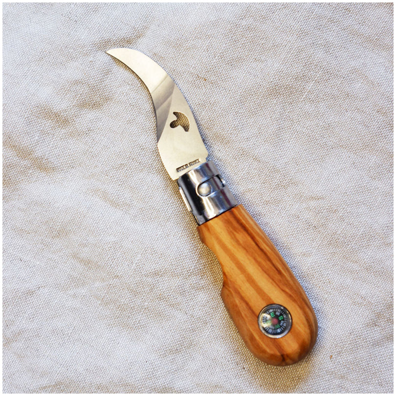 Coltello pieghevole per funghi con bussola cm 15