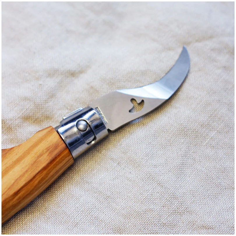 Coltello pieghevole per funghi cm 15