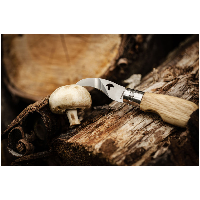 Coltello pieghevole per funghi cm 15