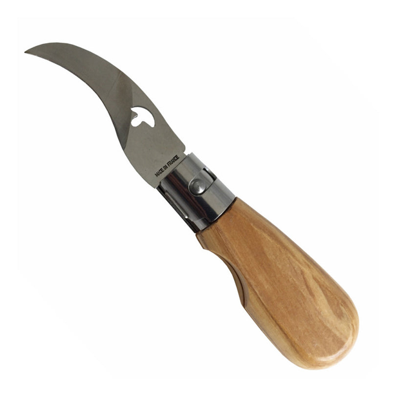 Coltello pieghevole per funghi cm 15