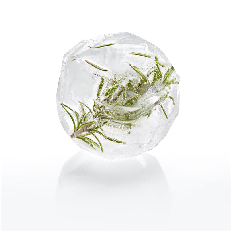 Vaschetta formaghiaccio con coperchio "Crystal", 6 cavità cm 20,2x13,5x6