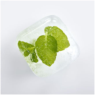 Vaschetta formaghiaccio con coperchio "Cube", 6 cavità cm 20,2x13,7x6,7