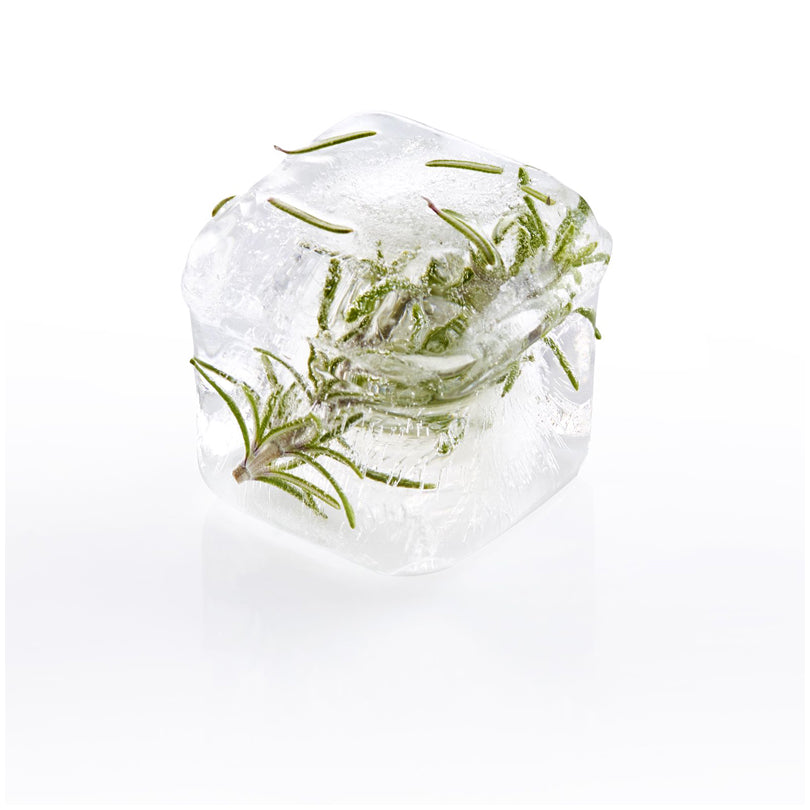 Vaschetta formaghiaccio con coperchio "Cube", 6 cavità cm 20,2x13,7x6,7