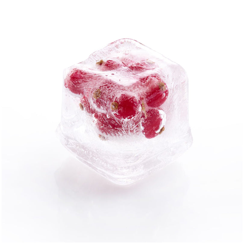 Vaschetta formaghiaccio con coperchio "Cube", 6 cavità cm 20,2x13,7x6,7