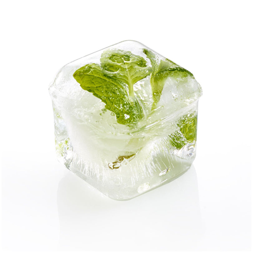 Vaschetta formaghiaccio con coperchio "Cube", 6 cavità cm 20,2x13,7x6,7