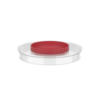 Coperchio paraspruzzi per ciotola da impasto "Chef It" cm Ø22,2x3,7