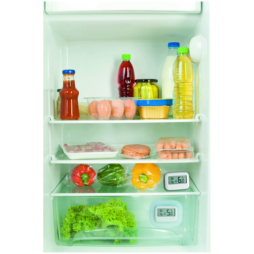 Termometro freezer/frigo digitale, misura da -30°C fino a +50°C cm 9x1,5x7,2