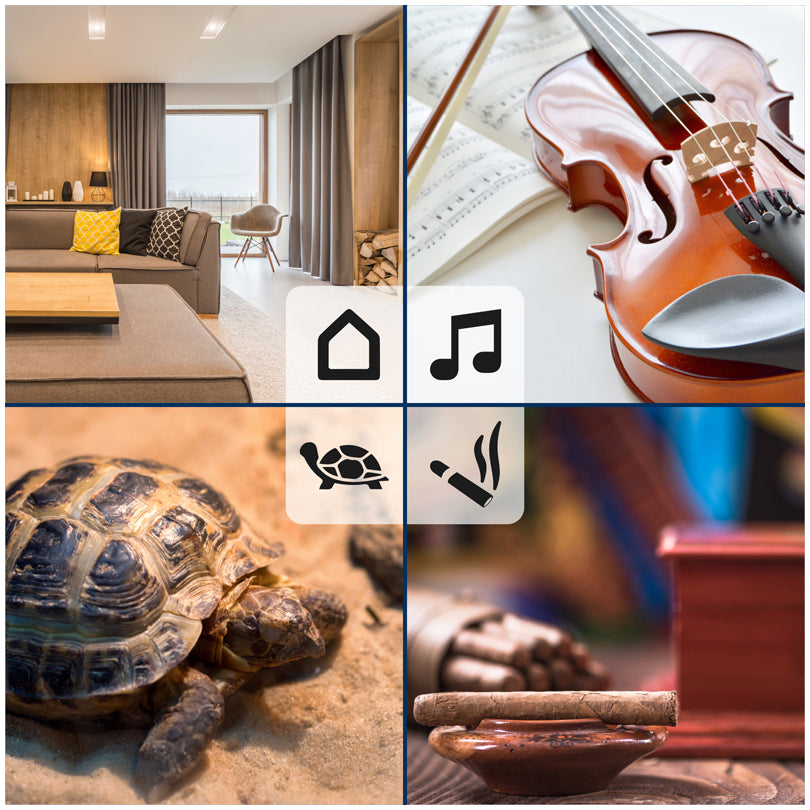 Termo-/Igrometro digitale cm 5,5x1,5x4