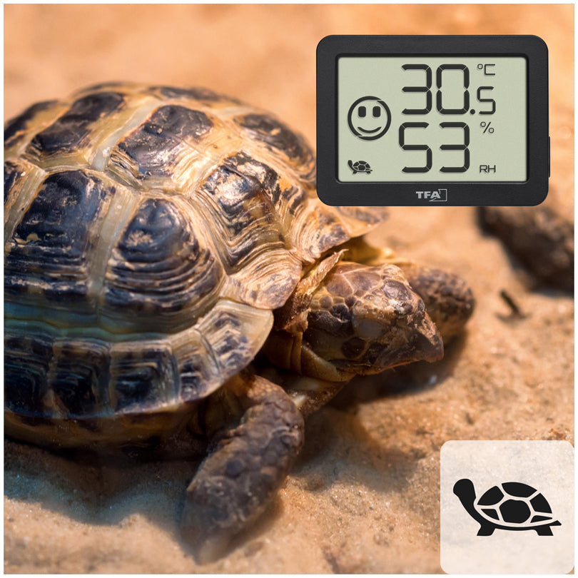 Termo-/Igrometro digitale cm 5,5x1,5x4