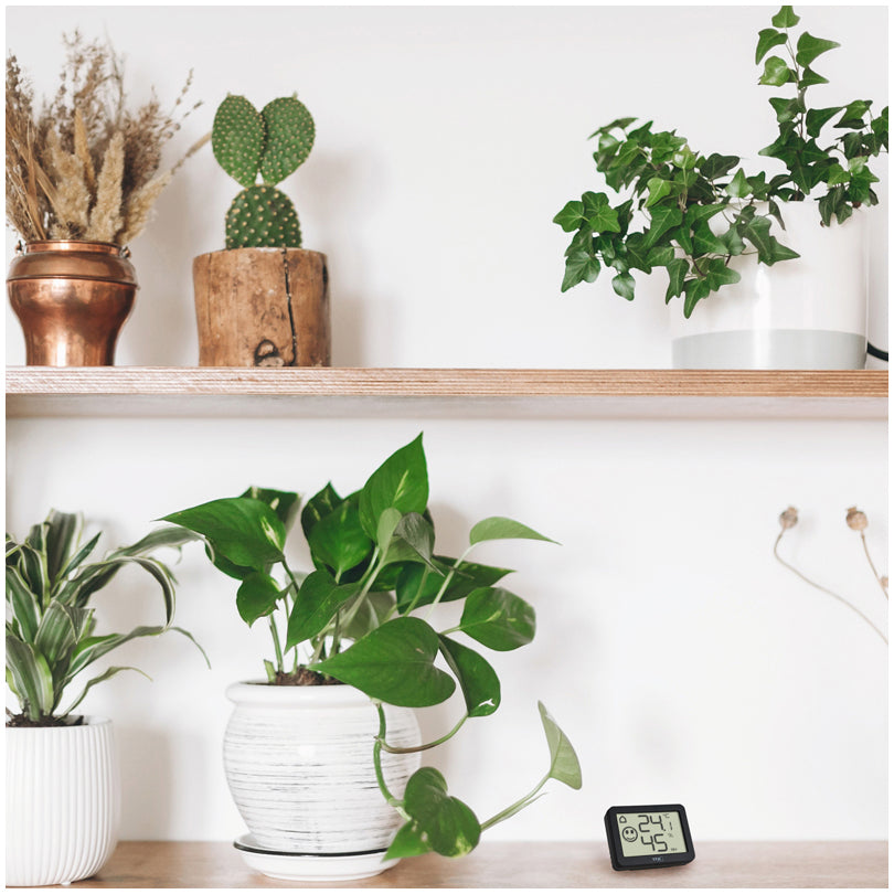 Termo-/Igrometro digitale cm 5,5x1,5x4