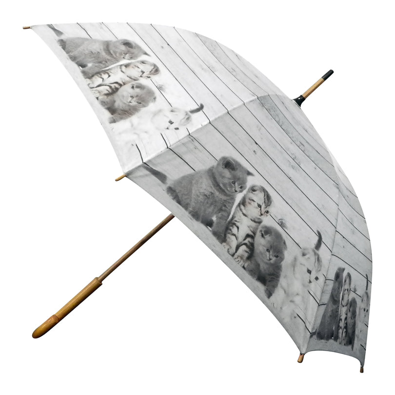 Ombrello "Effetto legno - Gattini British Shorthair" cm Ø105