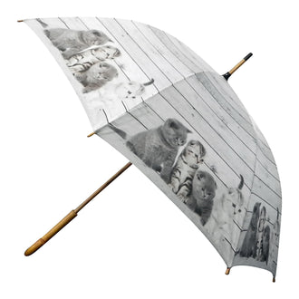 Ombrello "Effetto legno - Gattini British Shorthair" cm Ø105