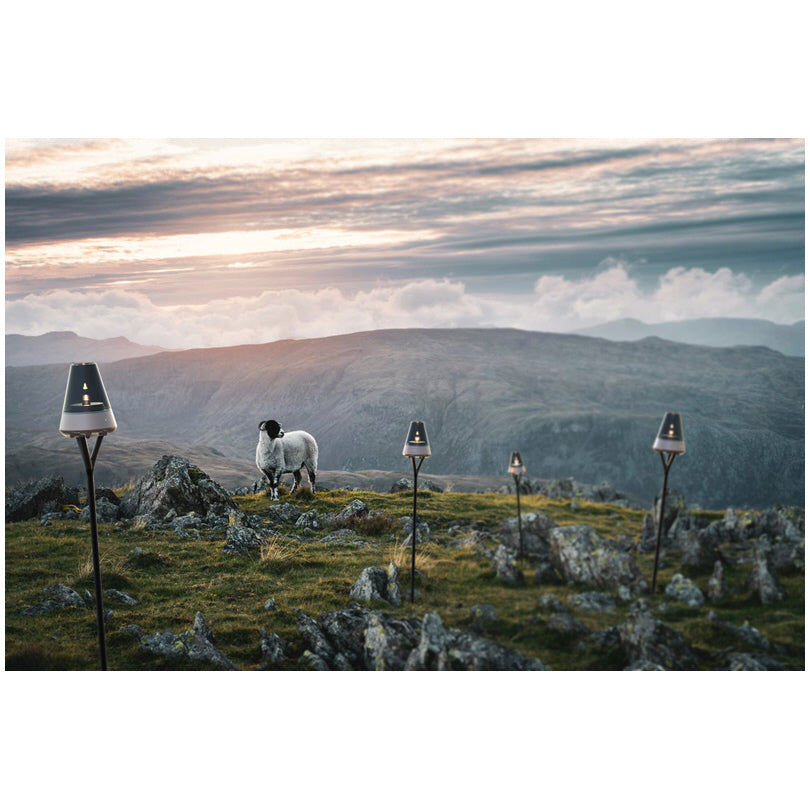 Nordic Light Pro "3 in 1", Altoparlante Bose Bluetooth 4,2, lampada ad olio di design e portalumino cm Ø14x17,5